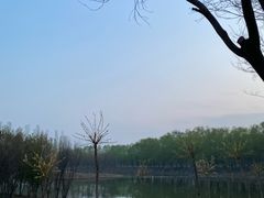-东郊湿地公园