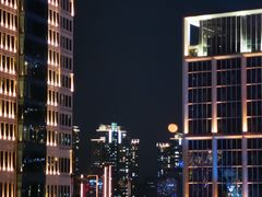 -蝶园·装修中(BFC外滩金融中心店)