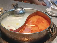 -菌自在·云南野生菌火锅(长安万达店)