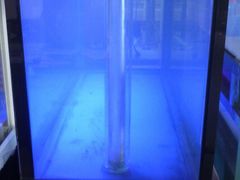 -佳兆业国际影城(鞍山店)