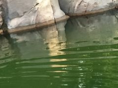 -如家酒店(舟山沈家门墩头码头店)