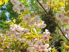 -长白岛森林公园