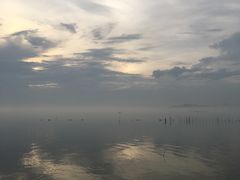 -崖口云吞(中堡店)