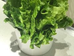 -古乐牛香·鲜牛肉牛杂火锅(新区店)