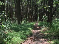 -同里国家湿地公园