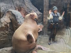 -哈尔滨波塞冬海底世界