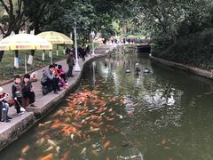 景点-珠海圆明新园