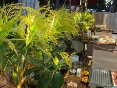 -木屋烧烤(龙岗龙城万科里店)