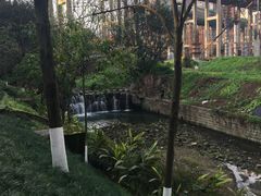 -重庆彩云湖湿地公园