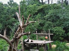 -宁波野生动物园