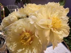 点击看大图 -花隐·美芙炫海菲秀皮肤管理中心