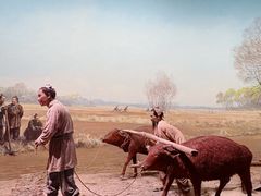 -中国农业博物馆