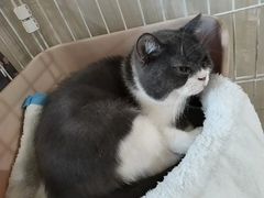 -北京城乡世纪广场-莫尔空间