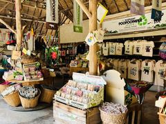 -大象粑粑造纸公园