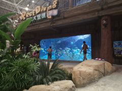 -波塞冬旅游度假区