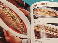 -巴依老爷新疆美食(望京小街店)