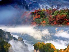 -光雾山旅游景区