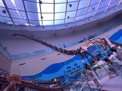 -陕西自然博物馆