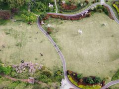 -上海财经大学(国定路校区)