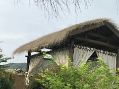 -看见远方·莫干遥远的山民宿