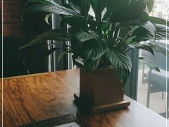 -SMOKI & CO(五大道店)