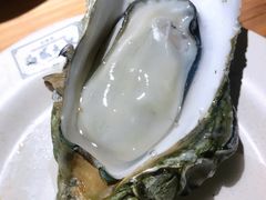 高压锅生蚝-就你餐厅(体育西横街店)