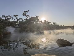 -罗红摄影艺术馆