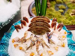 -1718海鲜姿造(苏宁宴请臻选店)