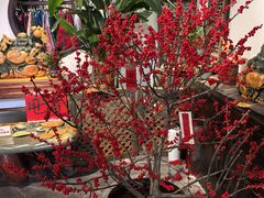 -金三角花鸟鱼综合市场-地面停车场