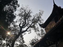 -金堂县云顶石城风景区