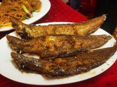 -蛇口康乐快餐鱼仔档(翠苑小区店)