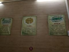 -针姨
