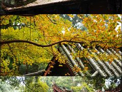 -都江堰普照寺