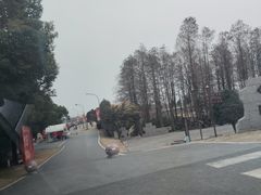 -洪泽湖古堰景区