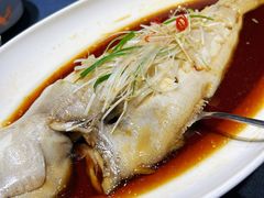 清蒸狮麟鳐鱼-金狮麟·新豫菜(金码大厦店)