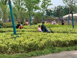 -季高兔窝窝亲子园(上海薰衣草公园店)