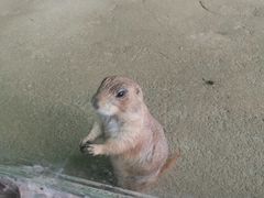 -杭州野生动物世界