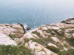 -广东惠东海龟国家级自然保护区