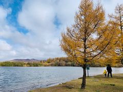 -塞罕坝国家级自然保护区