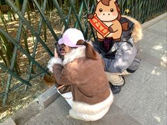 -红螺寺