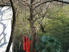 -敬亭山风景名胜区