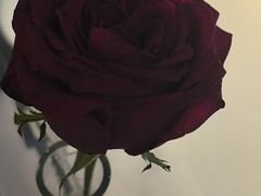 -味界·精致赣菜(招商花园城店)