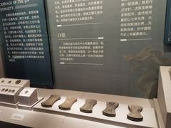 -中国钱币博物馆