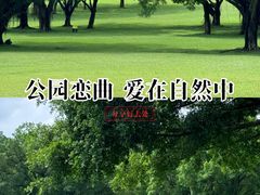 -东莞植物园