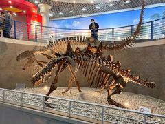 -国家自然博物馆