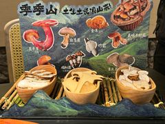 -季季山•云南野生菌火锅(上海首店)