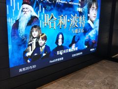 -奥斯卡升龙国际影城(RealD Cinema)