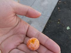 -龙口南山旅游景区