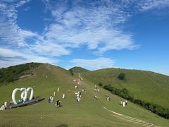 -大姆山草场