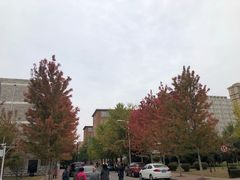 -辽宁大学(崇山校区)